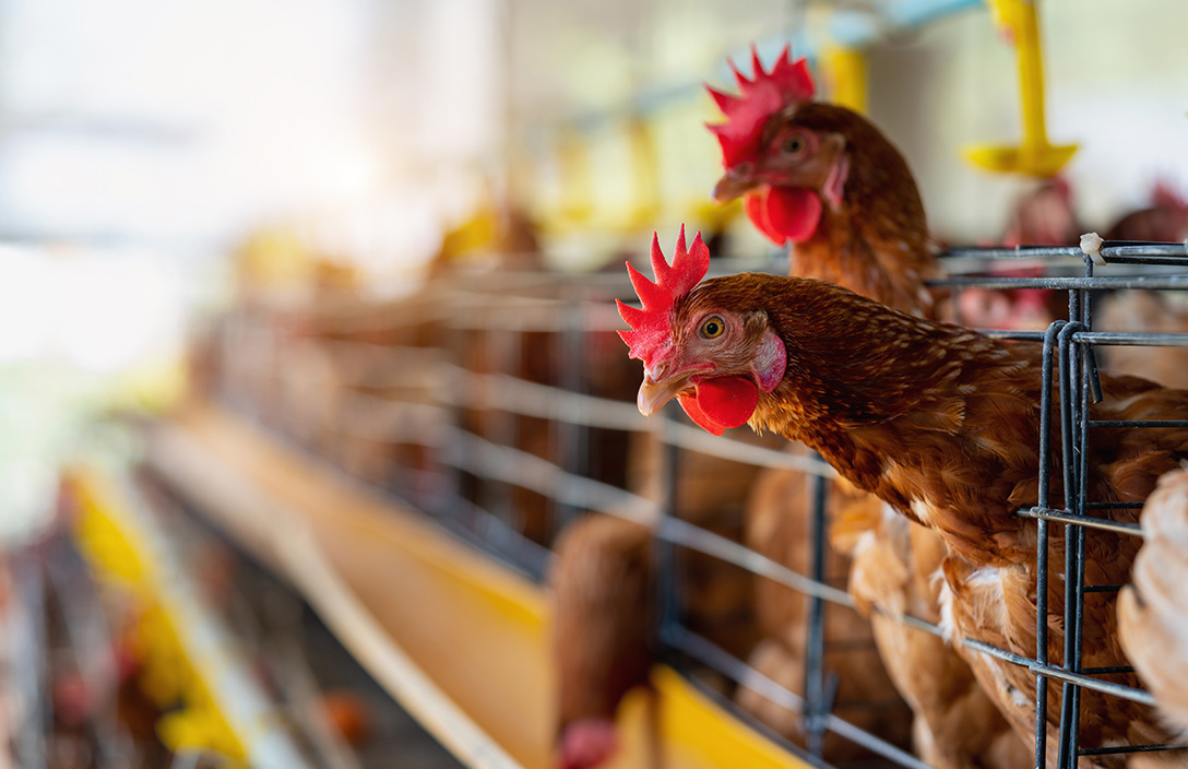 現代化智慧農業示意